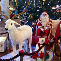 Père noel à Auch
